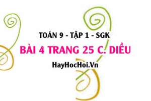 Bài 4 trang 25 Toán 9 tập 1 Cánh Diều